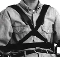 Person wearing a harness over a button-up shirt.