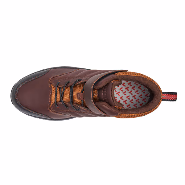 Top view of a brown leather sneaker with patterned insole.